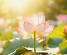 あなたの魂をリーディングいたします 自分の魂について知り、魂を成長させるための気づきのメッセージ イメージ7