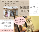 最速2日納品！WEB画像を制作します 目を惹くデザイン♪スピーディーな納品！ イメージ4