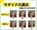 ハイクオリティなモザイク編集をいたします １フレームずつモザイク処理するピンポイントモザイク！ イメージ2
