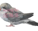 もふもふアイコン描きます ケモノや動物キャラ、ペット承ります！ イメージ6