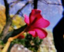 Instagramの投稿をお手伝いします 投稿したいけど何を投稿したら良いの？そんなお悩み解決します！ イメージ2