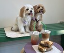 Instagramリール編集します カフェグルメお出かけVlog風など世界観あるリール制作します イメージ6