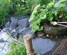 夜の不安を整える癒やしの言葉を届けます 眠る前に、気持ちが軽くなる言葉を一通お届けします。 イメージ4