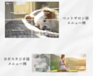 パッと目を引くLINE公式リッチメニュー作成します LINE公式アカウントのリッチメニューで集客のお手伝い！ イメージ4