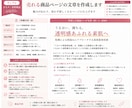 売れる商品ページの文章を作成します 商品の魅力が伝わる文章を丁寧に作成します！ イメージ2