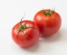 トマトの育て方のご相談受けさせてもらいます どうやって育てたらいいのか、美味しいトマトを作るコツ教えます イメージ3