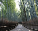 京都観光マスターがオリジナル旅行プランを提案します 19年間、京都観光専門サイトを運営してきた京都人がオススメ イメージ4