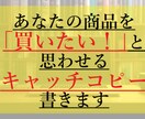 買いたい！と思わせるキャッチコピー考えます あなたの「売れない」を解決する！本能に訴えるキャッチコピー イメージ1