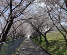 日常生活の愚痴聞きします あなたの心が少しでも軽くなれば イメージ1