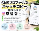 SNSプロフィール文を作成しますます あなたらしさが伝わる自己紹介文を一緒に考えます イメージ1