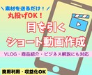 縦型ショート動画をCanvaフル活用で作成します 商用利用＆収益化OK！Canva無料版を使い丁寧に作成します イメージ1
