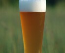 ビール検定を持つ私がビール他のお酒の質問に答えます おすすめのお店、銘柄、わからない用語、他、ご相談ください。 イメージ1