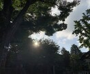 恋愛成就・結婚に向けてアドバイスします ワンコインでボリューム感あるアドバイスシートを作成します イメージ1
