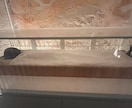 旅のしおり・無駄ゼロの計画表作成します 効率よく観光地を巡る！実体験ベースのモデルルートをご提案！ イメージ7