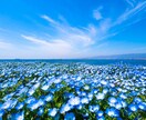 心霊写真かを詳細に鑑定します 霊査探偵neoが心霊写真や現象なのか詳細に鑑定致します イメージ1