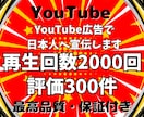 YouTube広告で日本人再生回数と評価増やします ★日本人にプロモーション★再生回数2000回＋評価300件✨ イメージ6