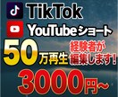 TikTok・YouTubeショートの編集をします 50万再生経験者が高品質な動画を作成いたします！ イメージ1