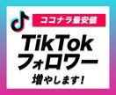 TikTokを拡散・宣伝してフォロワーを増やします ティックトックでフォロワー550増えるまで拡散します イメージ1