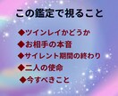 この人はツインレイ？魂の繋がりと使命を鑑定します あなたの人生に何をもたらす関係なのか？を整理します。 イメージ9