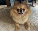 パニック障害やうつ病を患っているので対応します パニック障害やうつ病を患っているので経験を交えてお話します。 イメージ1