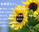 カウンセラーのタマゴの時間を1週間与えます 1週間悩み話し放題！　解決に至るまでとことん付き合います。 イメージ2
