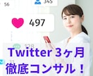 3ヶ月間Twitterの活動をサポートをします ◎張りぼてではない、リアルなフォロワーを増やす㊙︎テクニック イメージ1