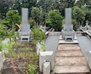多磨霊園｜お墓参り代行・除草剤散布します 8500円(税抜)事前下見・写真報告・除草剤散布でお墓綺麗に イメージ1