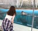 頑張り屋のあなたの恋愛相談のります 男子女子の永遠のテーマ:恋愛相談 イメージ1