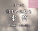 相手の気持ちと本音を知りたい！徹底的に読み解きます 言葉にならない彼の深層をタロット×アカシックで丁寧に言語化 イメージ1