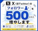 X（Twitter）のフォロワー500人増やします 認知度アップでアカウントの信頼性・影響力を強化｜30日保証付 イメージ1