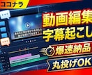 高品質！！動画の字幕起こし・テロップ作成をします ビジネス文書1級保持！文字起こしから見やすい字幕配置まで対応 イメージ1