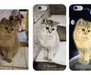 ペット写真修正★背景を自然に綺麗に加工します 顔がイイのにもったいない！残念な背景をまるっとチェンジ イメージ3