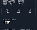 安心安全の手作業で丁寧にXの運用代行を行います 「2アカウント」依頼したい方専用｜個人/企業問わず対応◎ イメージ3