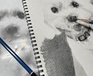 ペットの絵を描きます 思い出を、飾れるカタチにしませんか？ イメージ2