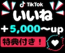 TikTokいいね＋5000増やします 【特典で合計＋10000】オプションに再生数、セーブ イメージ1