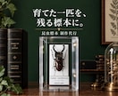 クワガタやカブトムシなどの昆虫標本作成します 大切に育てた一匹を、飾れる標本に イメージ1
