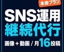 SNS運用代行・Instagram+動画継続します Instagram・TikTok動画運用代行 イメージ1