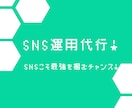 SNSでマネタイズの仕方教えます 【SNS運用代行・SNSコンサル】 イメージ1