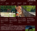 あなたのホームページをワードプレスで作ります アフターサポートもしっかり行わせていただきます。 イメージ5