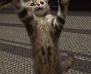 あなたのネガティヴをポジティヴに変えます 嫌なこと、辛いこと、悩みがあるあなたへ イメージ2