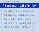 seoブログサーバードメイン 30-150本ます 集客・SEO対策｜ホワイトハットSEOで低リスク 効果持続 イメージ6