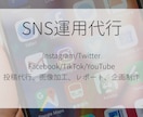 1ヶ月で0から500人増やします 企業・個人様のSNSマーケティングをさせていただきます。 イメージ1