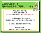 あなたに代わって売れるコンテンツを丸ごと作成します 商品作成の面倒な作業はすべてお任せ！“丸投げ”作成代行です イメージ6