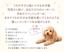 うちの子からの小さなお手紙をお届けします 写真1枚から制作。うちの子の性格や魅力を読み解きます。 イメージ2