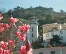 ポルトガルのフィルム写真を提供します リスボン＆シントラの風景写真１０枚セット イメージ8