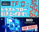 トラストフロー「TF」値を30以上に引き上げます TF60以上も可能！Google上位表示の近道に！ イメージ1