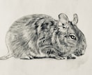 鉛筆画を作製します イメージに合わせて、鉛筆画で華やかに装飾も加えます。 イメージ1