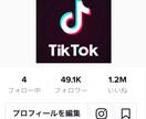 1か月でフォロワー4万2千人獲得した方法教えます まだ間に合う！TikTokで集客したい方必見！ イメージ1