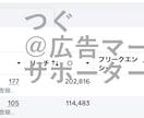 インスタFacebook広告の初期設定支援します 現役8年のプロがサポート！Meta広告インスタ広告 イメージ2