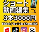TikTok/ショート動画のテロップ編集します TikTok・Instagram・YouTubeショート対応 イメージ1